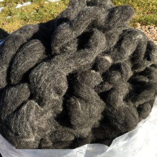 grey_black Shetland wool roving
