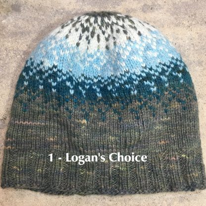 colorway 1 Logans choice